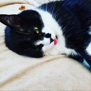 Meet your Posher, Wanda